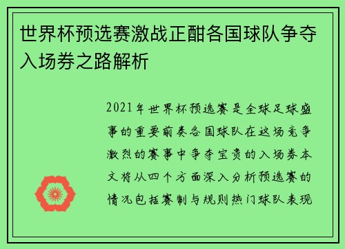 世界杯预选赛激战正酣各国球队争夺入场券之路解析
